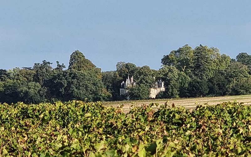 la-bretaudiere-terroirs-03-01